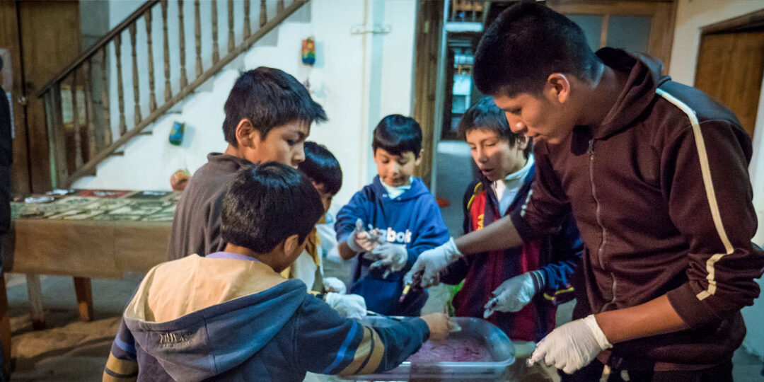 Taller de Artes Gráficas: “Cosechando la creatividad”